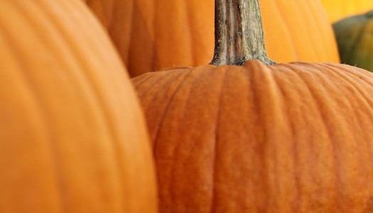 Jeera Pumpkin