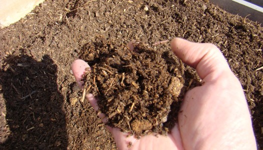 Compost – the key to great soil