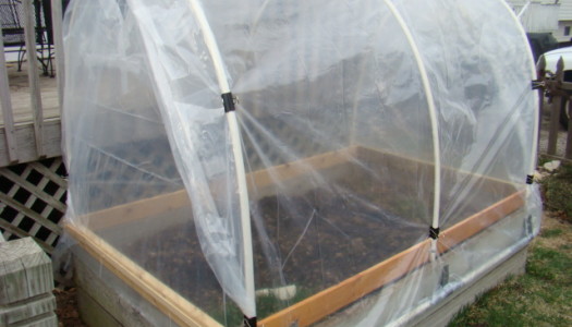 First attempt at a vegetable hoop house