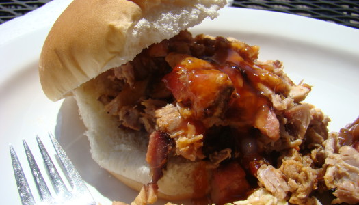 Carolina Style Pulled Pork ‘n slaw
