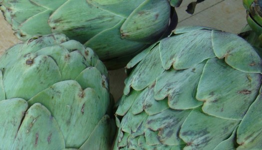 Grilled Artichokes