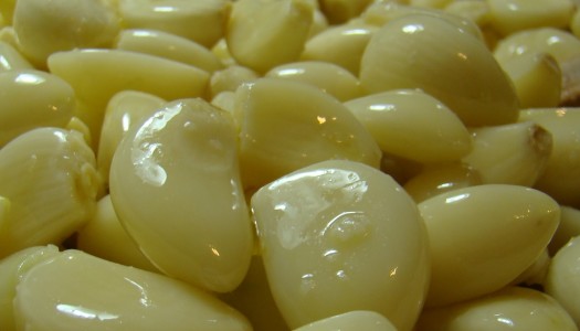 Garlic Conserva
