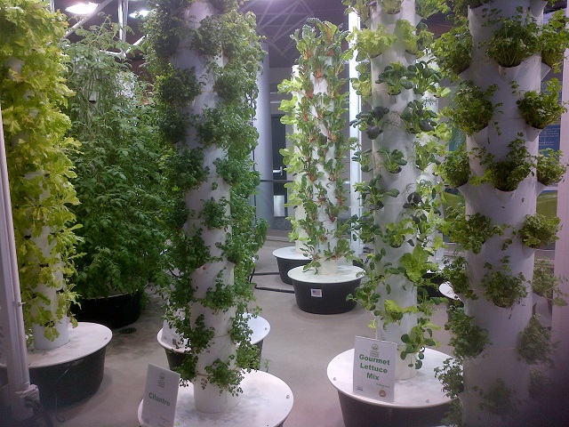 O'Hare Garden