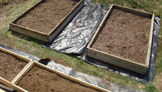 Planning Your Garden – Part III – About Soil