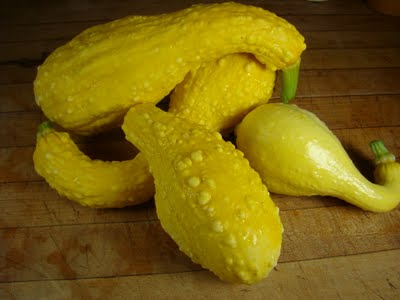 Summer Squash