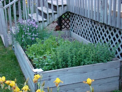 first garden